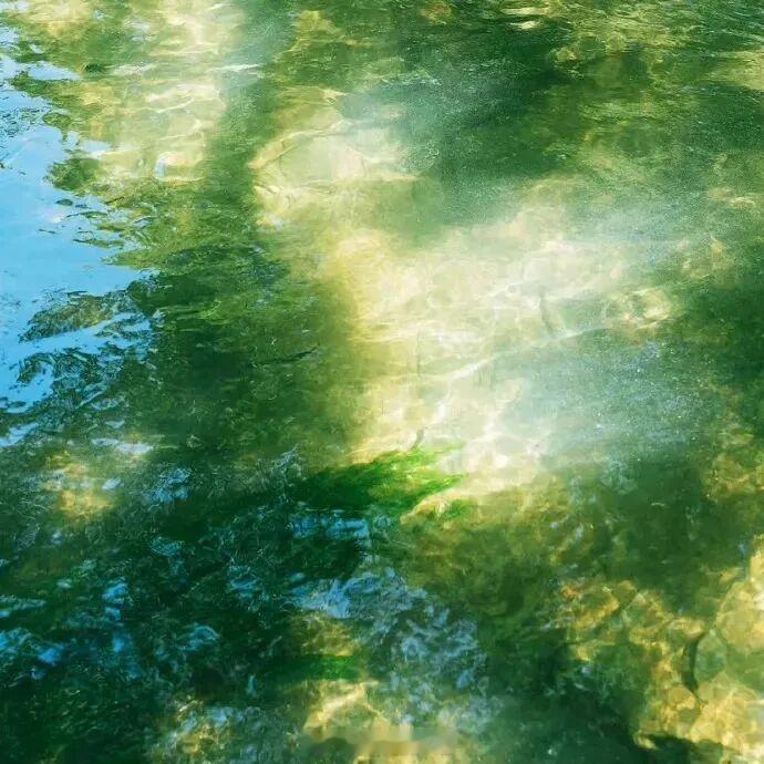 在每个他追逐过她的时刻里，她在也追逐那个夏天。——《逐夏》早安