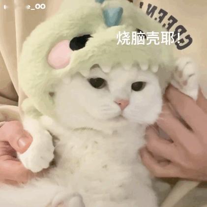 十二星座里谁最爱说反话？天蝎：分手吧，意思是“你快来哄我”处女：我没事，意思是“