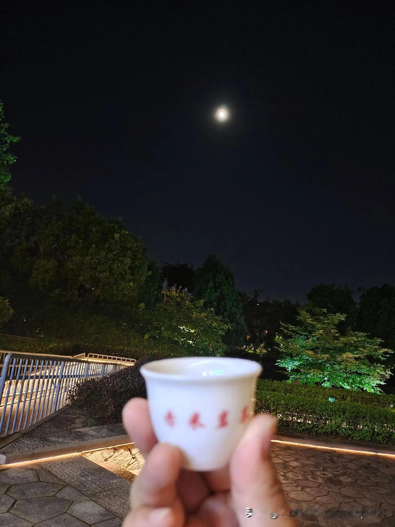 人海匆匆，多的是擦肩而过的疏离，难得一次萍水相逢。不必寒暄太久，不必追问过往，相