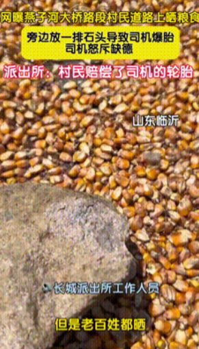 “太缺德了！”山东临沂，一村民将自家粮食放在马路上晾晒，结果一辆汽车路过时，突然