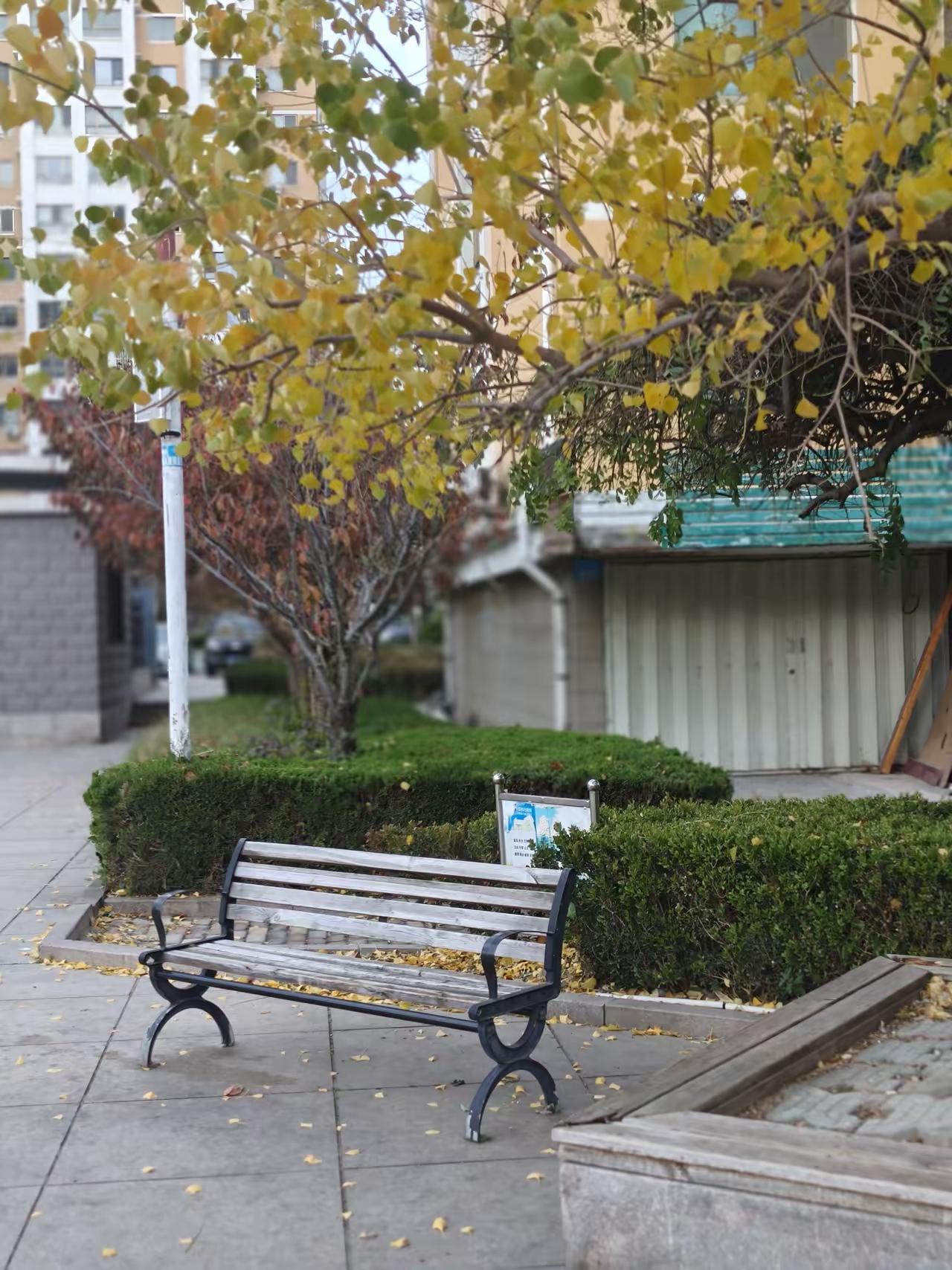 退休以后我就一个人独处在家，基本上不与人往来。退休以后我就一个人独处在家，