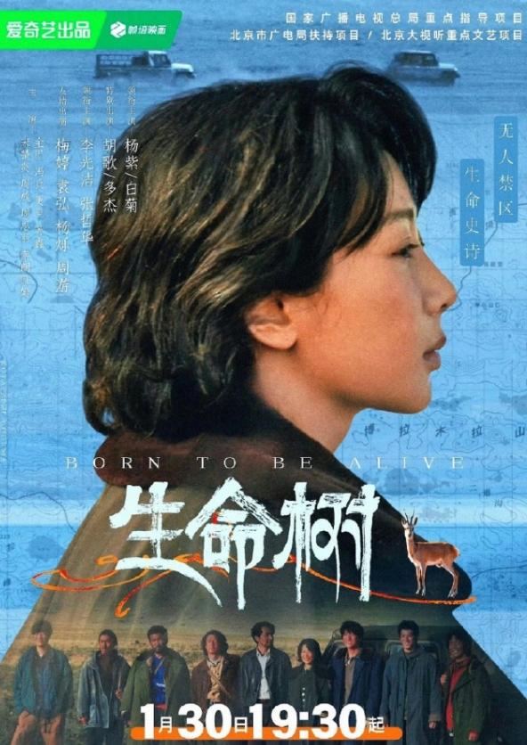 杨紫《生命树》数据应该起不来了！收视率又创新低了，4日CVB收视率跌到1.59