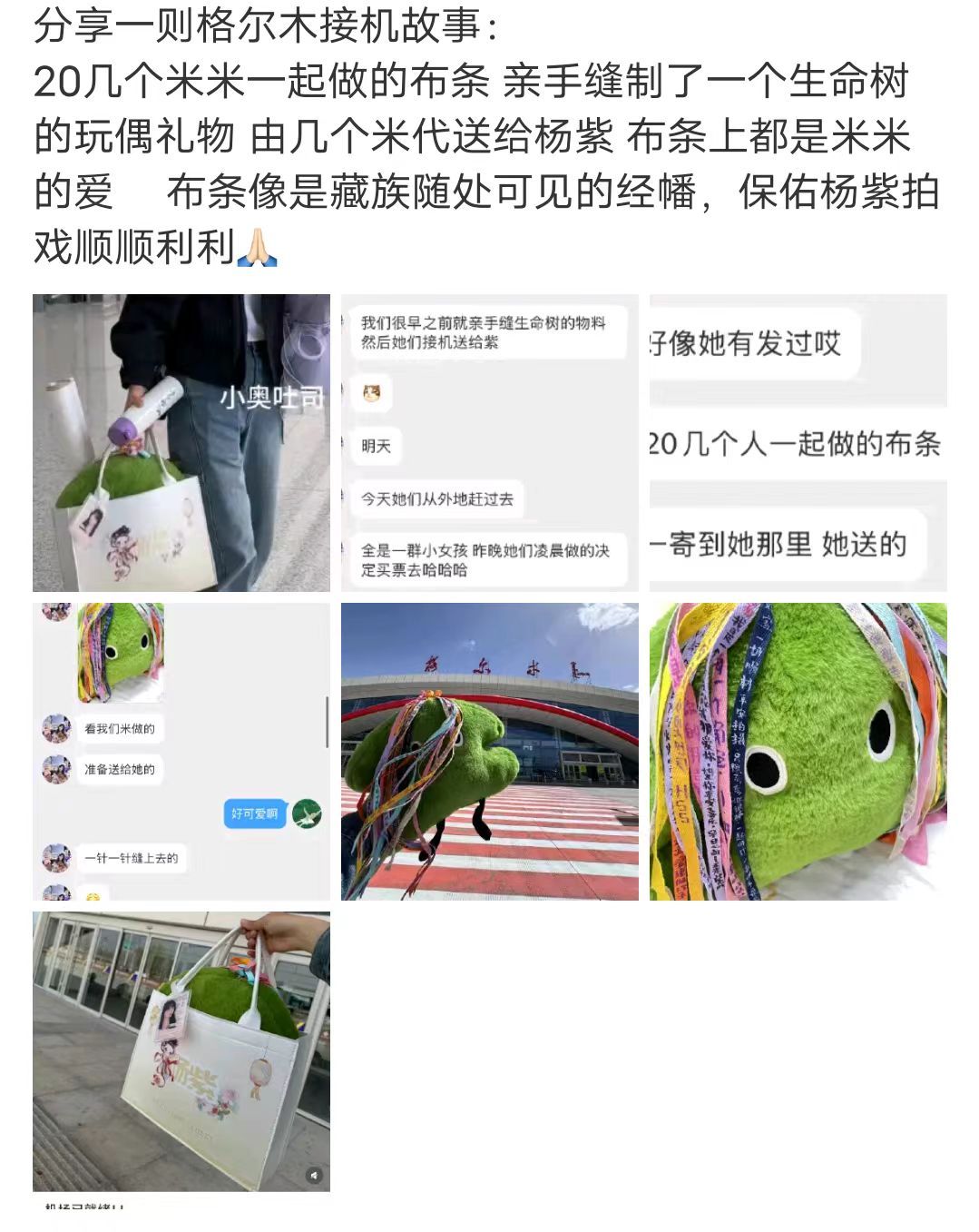 粉丝给杨紫缝制了生命树玩偶杨紫安慰粉丝不哭不哭早点回家4月30日，杨紫抵达