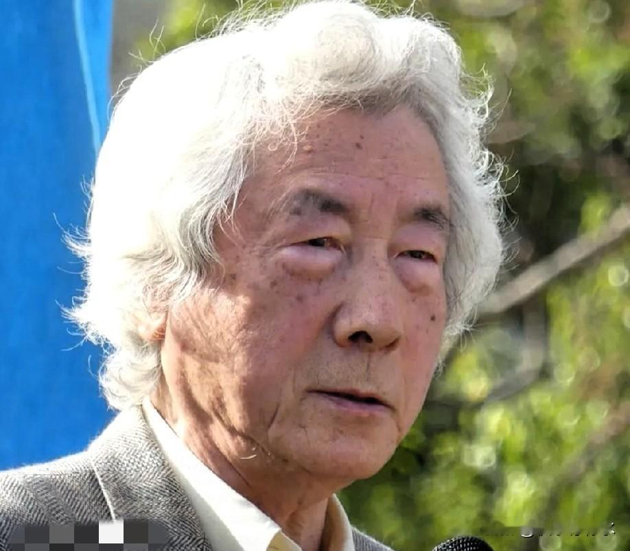 83岁的小泉纯一郎这回算是把“装糊涂”这门艺术玩明白了。面对镜头，记者想让他