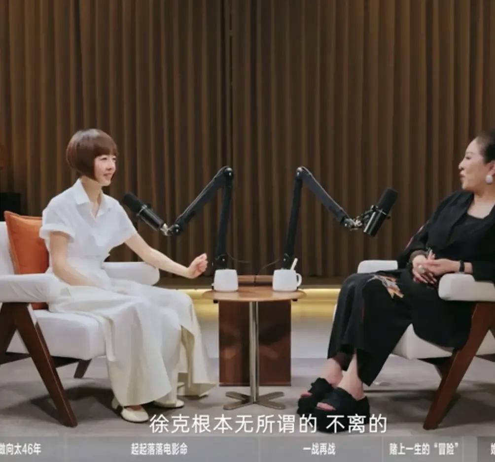 徐克在陈岚的评价里，其实从没有想过跟是男生离婚，徐克当初跟女助理在一起，被人骂，