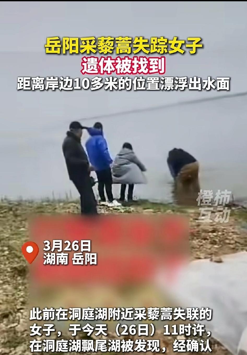 揪心!湖南岳阳一位55岁母亲，为补贴家用前往洞庭湖采藜蒿，不幸失联整整4天，近