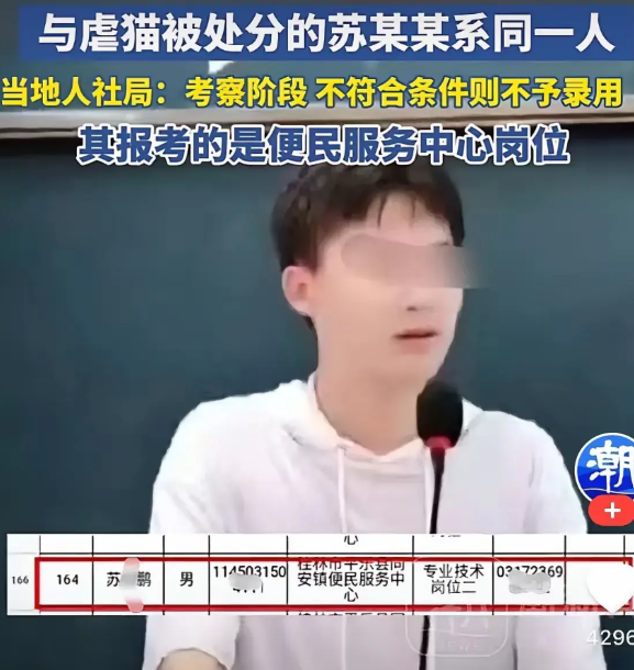 虐猫考生今晚翻来覆去睡不着了他实在想不明白自己明明一个211毕业的，悄悄