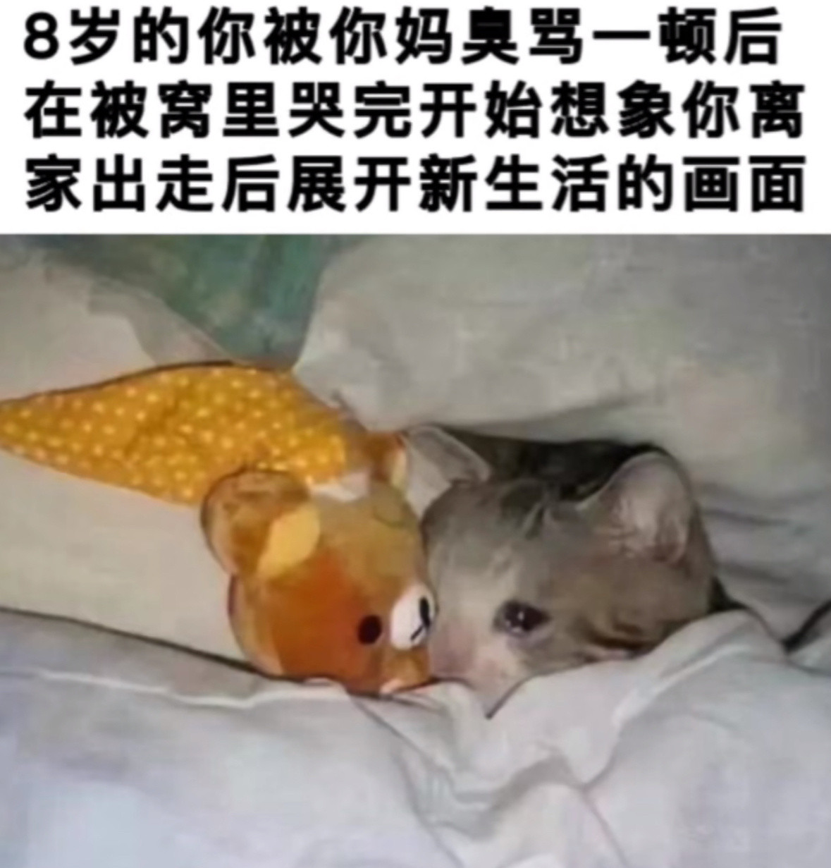 别说了我现在还在想​​​