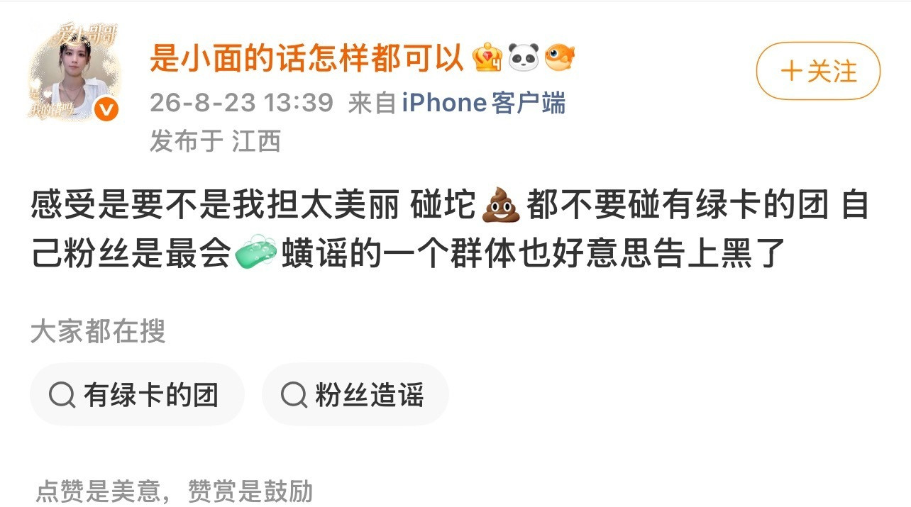 谁能告诉我赵美延粉丝在飒什么
