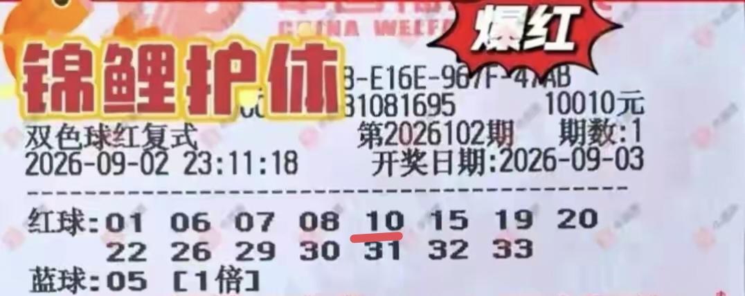 做什么毛啊？1万块钱就命中1+0，与其如此，还不如随机，10,010元，可以打5
