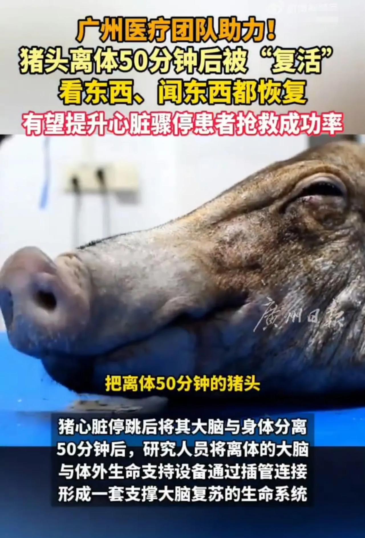 这是不是离永生又近了一步？