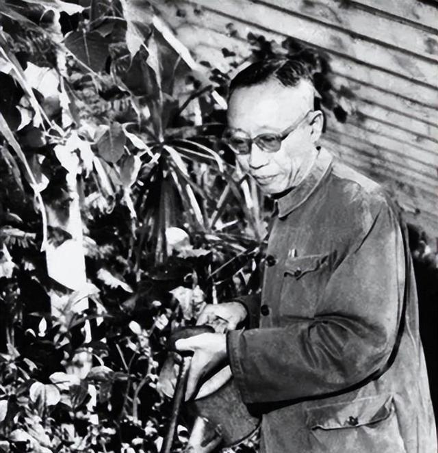 溥仪出狱后和杜聿明参观故宫，售票员：买票才能进，他如何回答的他脱口而出，“回自