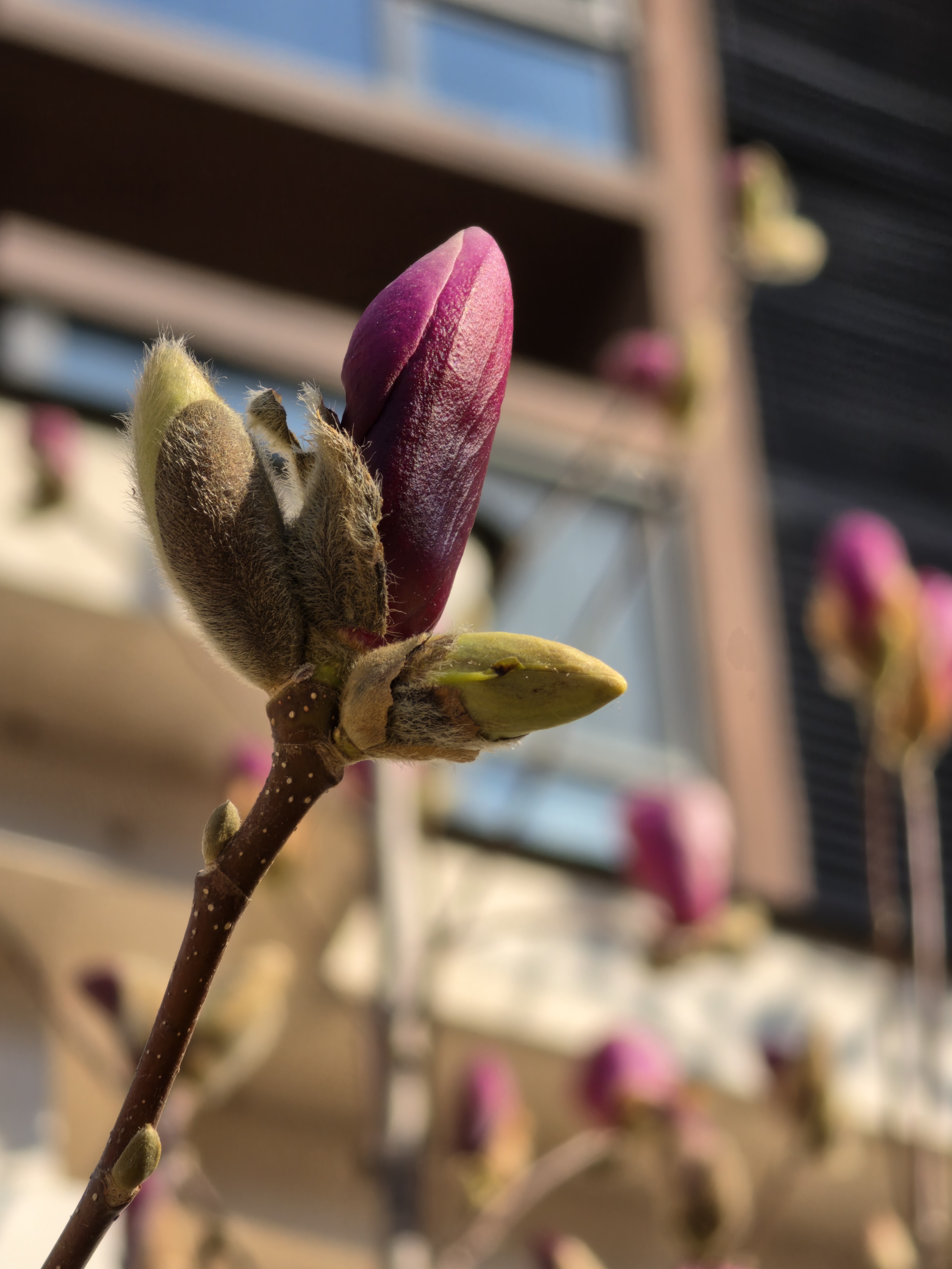 GalaxyS26Ultra8xzoom，记住拍5x～10x的照片