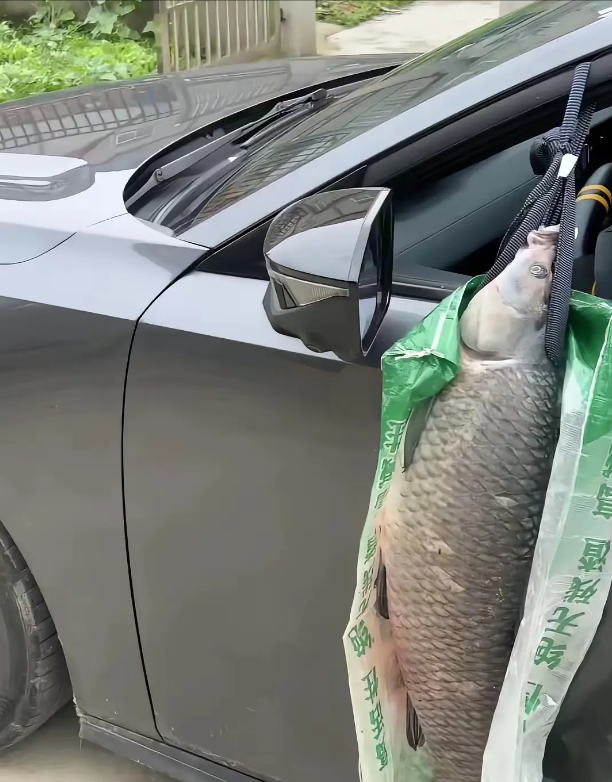 老板叫我用袋子装起来，我已经，“装起来了”