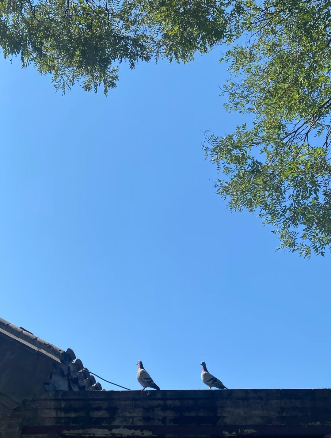 职场中大部分人都是炮灰而已刚休了一周的假，脑子休息了一段时间，感觉状态闲散了一