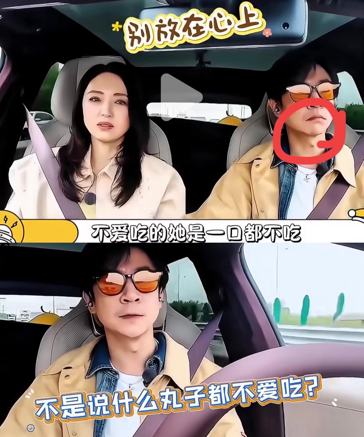 一件事，一个动作，就能看出张维伊这个人，小气还记仇！因为带回来的丸子，董