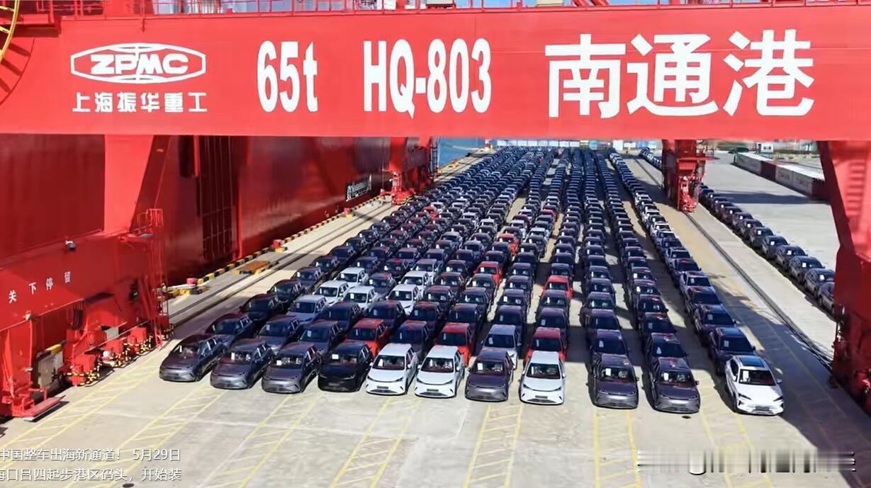 南通通州湾新出海口也开始出口整车了！近日吕四起步港区码头一次性出口比亚迪新能源车