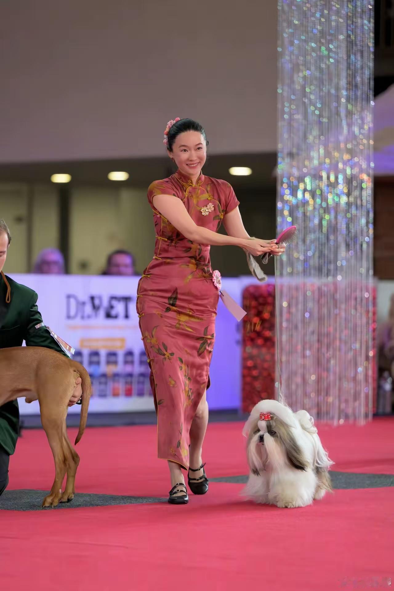 杜江：“重要事件说三遍！唯一的中国团队”！霍思燕和爱狗获奖，杜江疯狂发微博宣