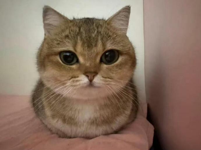 宝宝看起来菩萨心肠的样子