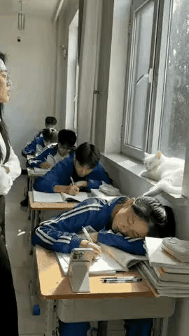 课堂上一幕，笑翻全班！​‎͏ 学生们正认真听课，一位女生不小心打起了小盹，