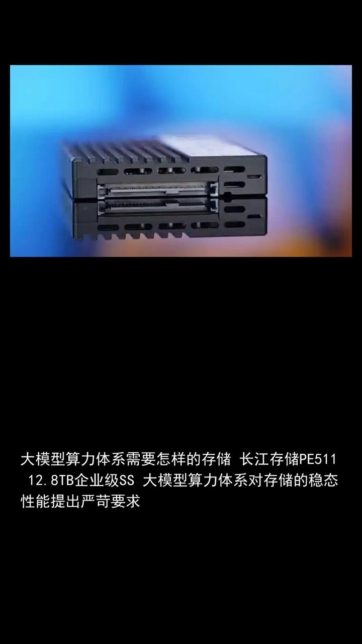 大模型算力体系需要怎样的存储？长江存储PE51112.8TB企业级SS大模型算力