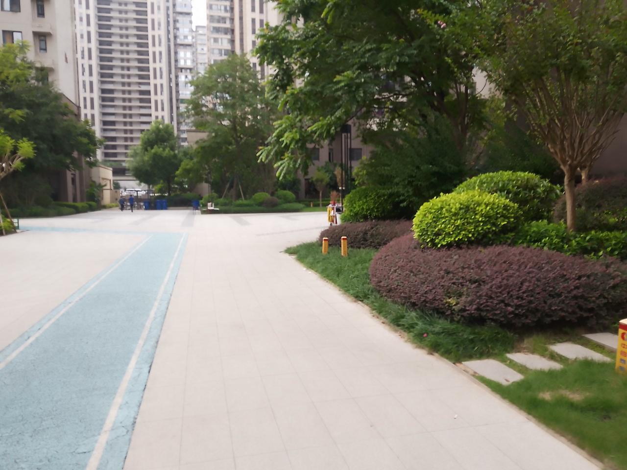 今天碰到随礼难题！去年儿子结婚的时候他姑姑随了5000元！今年姑姑的儿子结婚，她