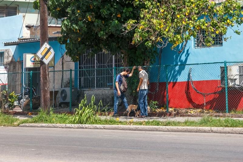 古巴能源危机对普通民众影响堪称灾难级。这不是天灾，而是美国制裁人祸。2026年美