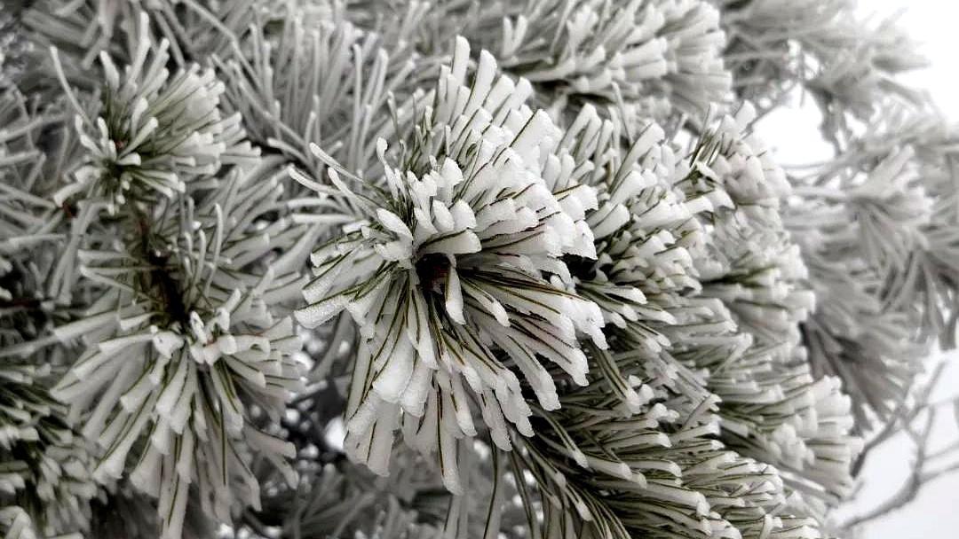 一项研究了36年、追踪了12万人的大型研究，结论出来了。染发剂和癌症风险增加之