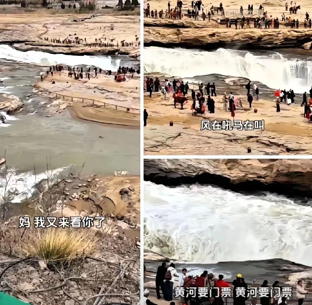 笑死我了，但笑完有点堵。​3月22日，壶口瀑布景区外，一个女的对着黄河开唱，“