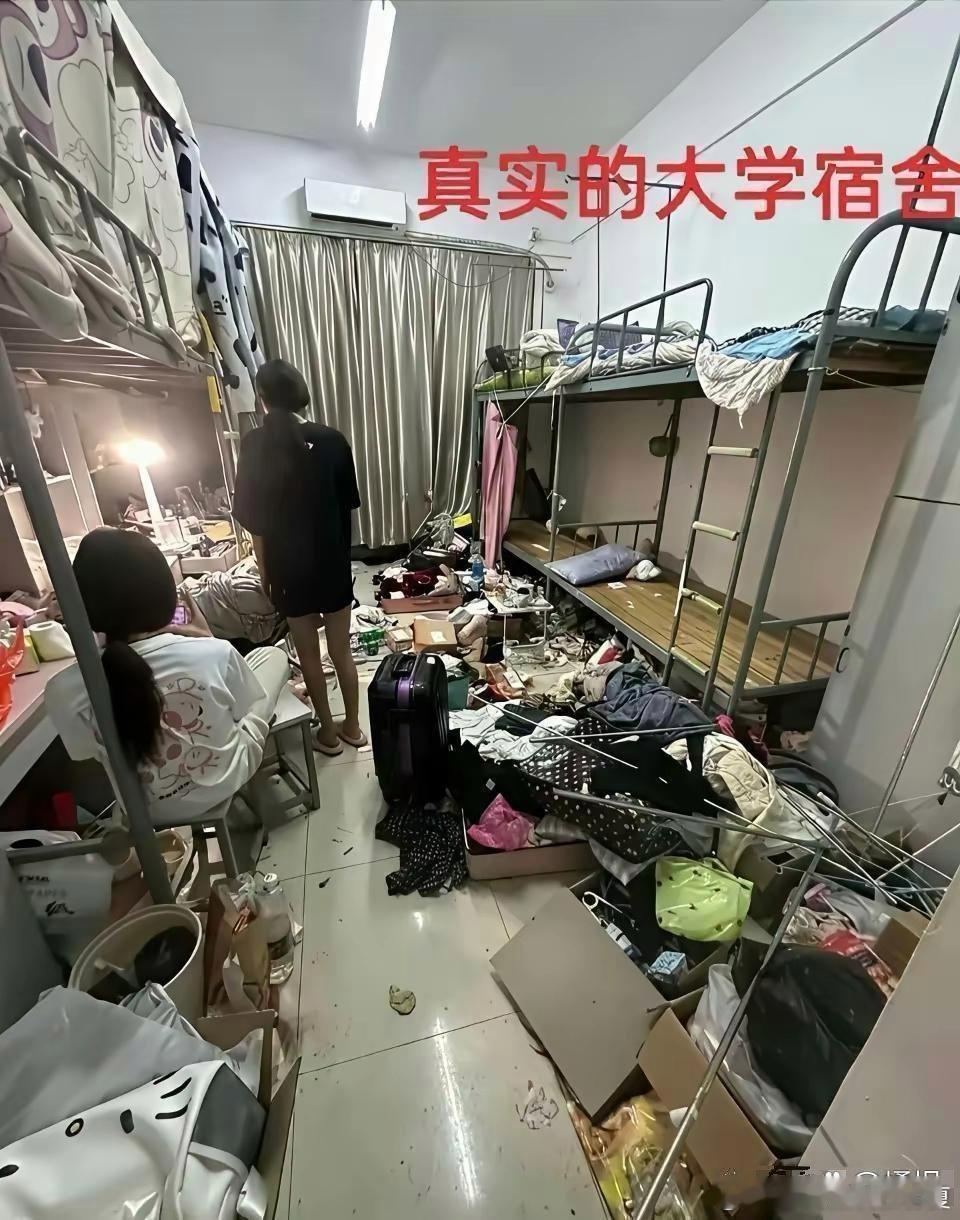简直太真实了。​​​