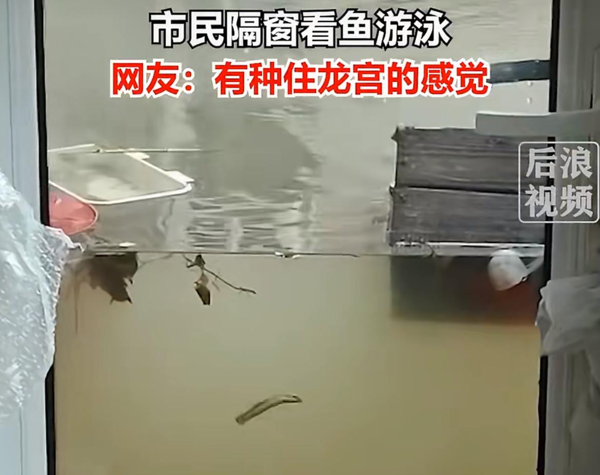 不少东北的朋友都在说这场暴雨有多离谱，好好的家说被淹就被淹，沈阳有位房主一觉醒来