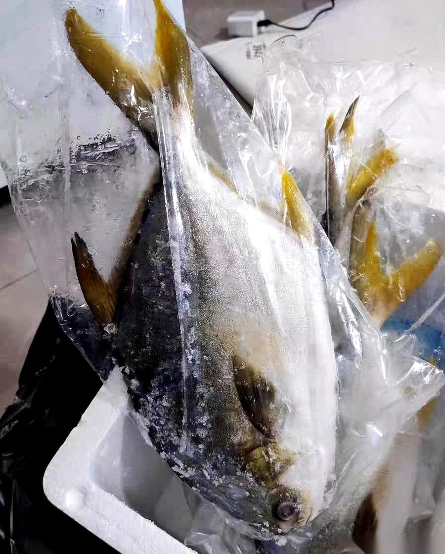 亲戚送的中秋礼盒，鱼是臭的。我眼睁睁看着我婆婆，拿起电话就拨了过去。我当时心