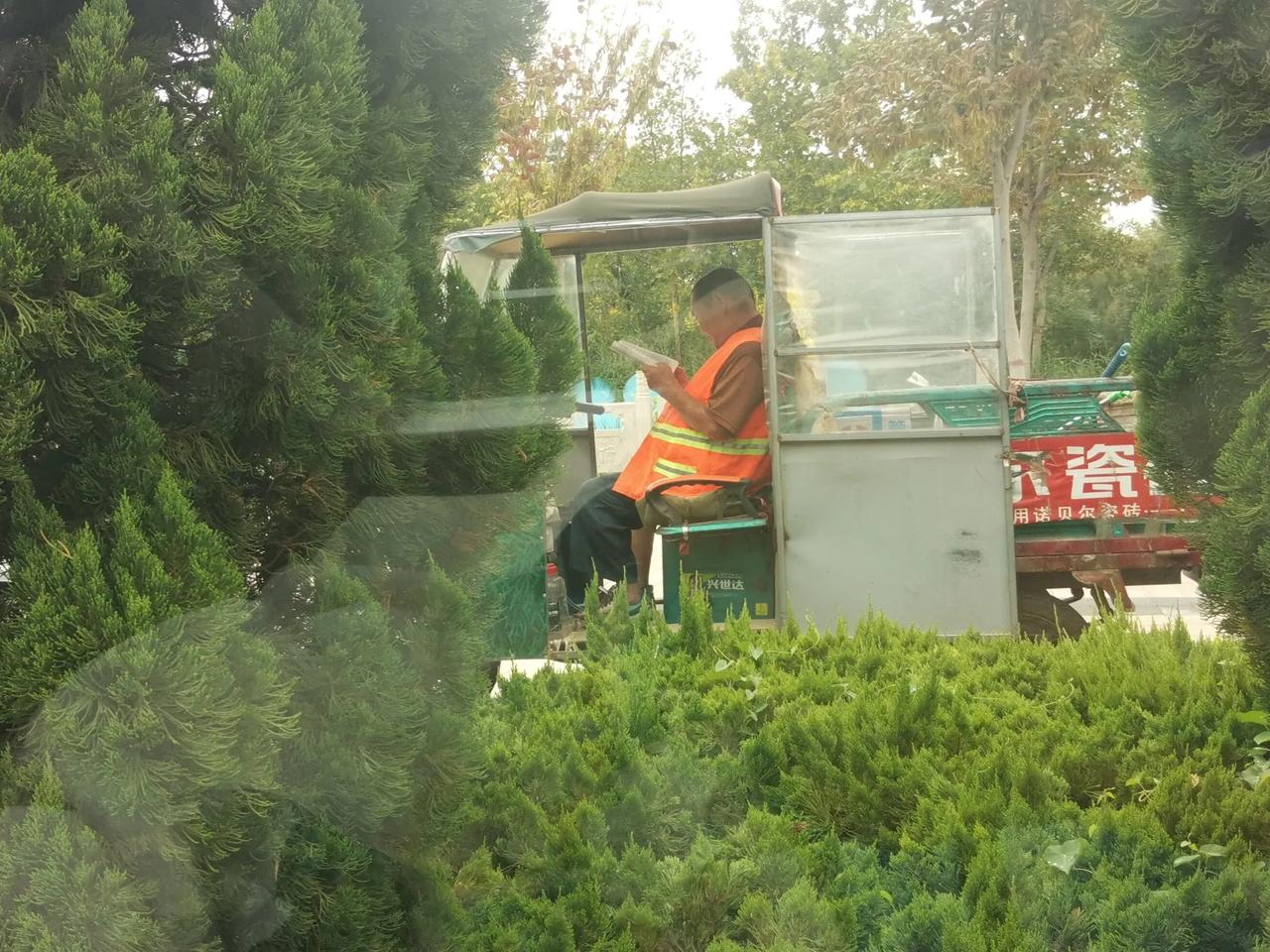 万般皆下品，惟有读书高。青少年的主要任务是读书，以读书的方式来认识这个世界。读