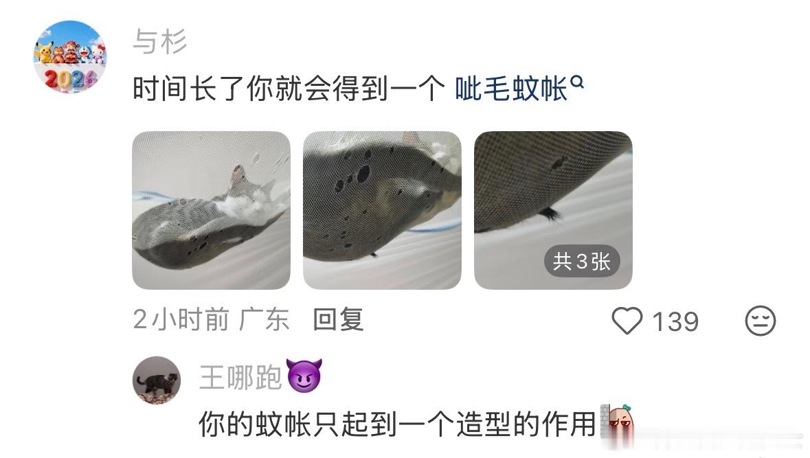 当你同时拥有蚊帐和猫，每天睡醒就是在开盲盒猫高高在上，人低低在下
