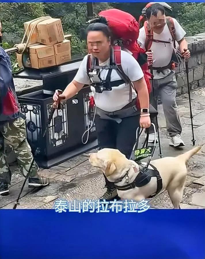 追了芬迪的事快一周今天看了新京报的采访气得我手机都攥紧了——那主人哪
