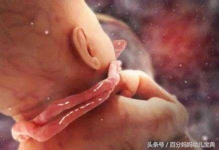 怀孕以后, 如果不想胎儿脐带绕颈, 请戒掉这五种坏习惯!