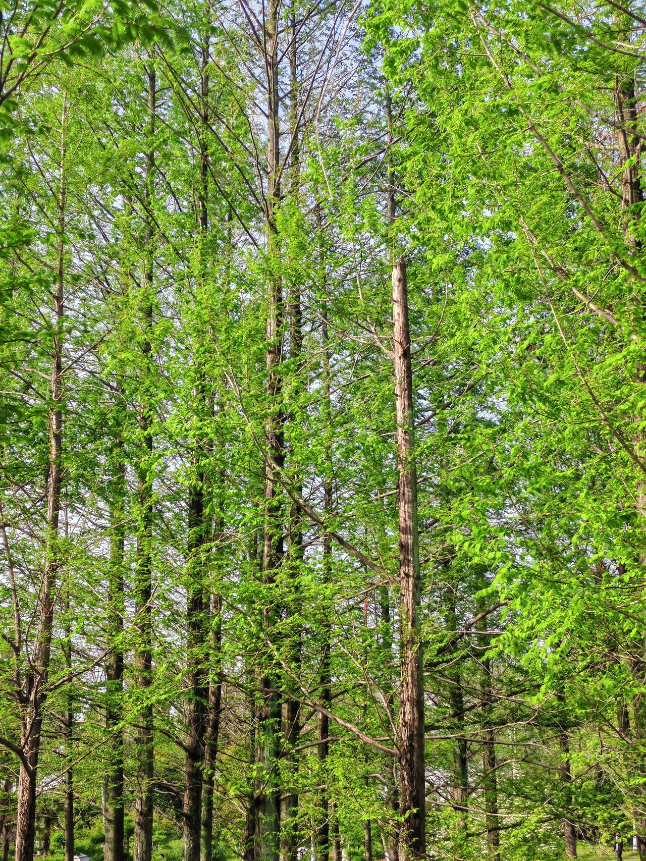 1.现在最幸福的两种人：结婚的男人，未婚的女人。（能唤醒现在的女孩们）；2.