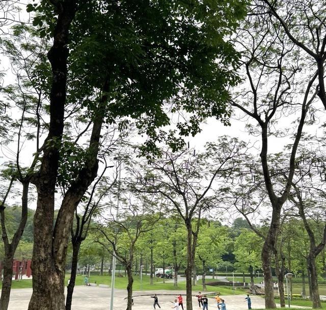 60岁以后运动真得服老，千万别硬撑。有个60岁的大哥发帖说，为了保命，这15种运