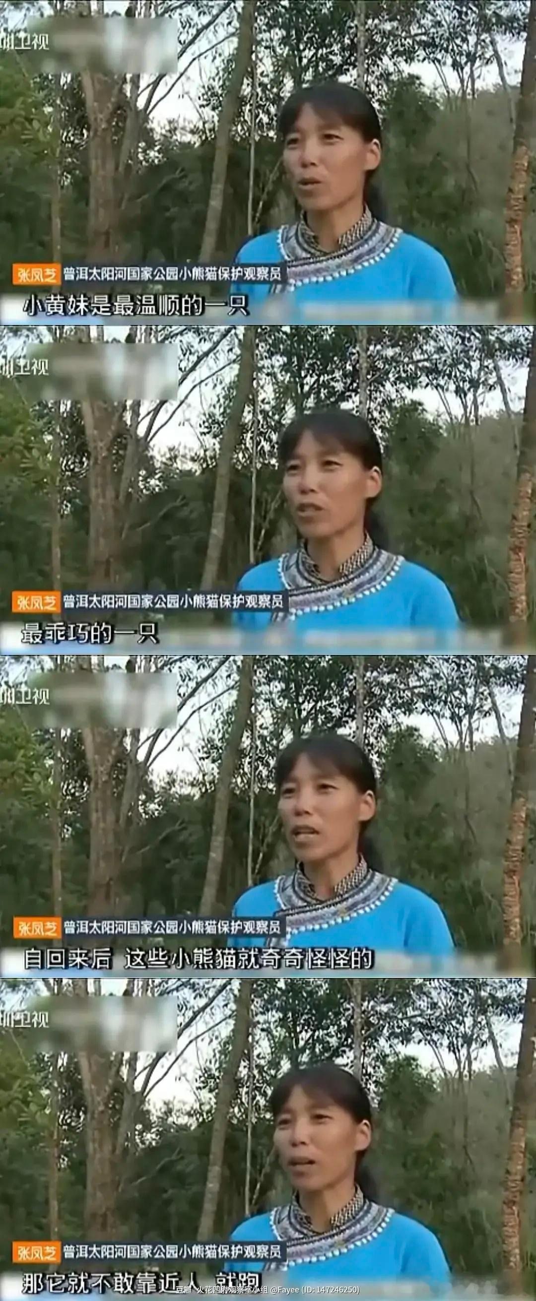 刷到一个很暖心的小故事，小熊猫的友情：我不爱吃梨，可我知道你爱吃2014年10月