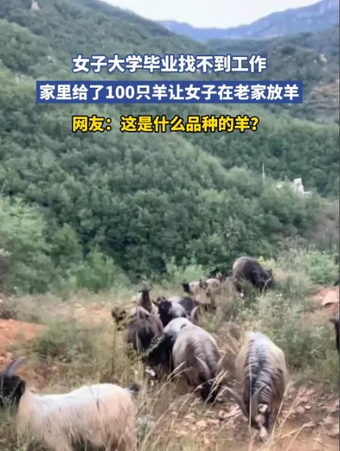 丢人吗？我觉得不但不丢人，我还非常羡慕！一女生毕业俩月求职碰壁，投30份简历全打