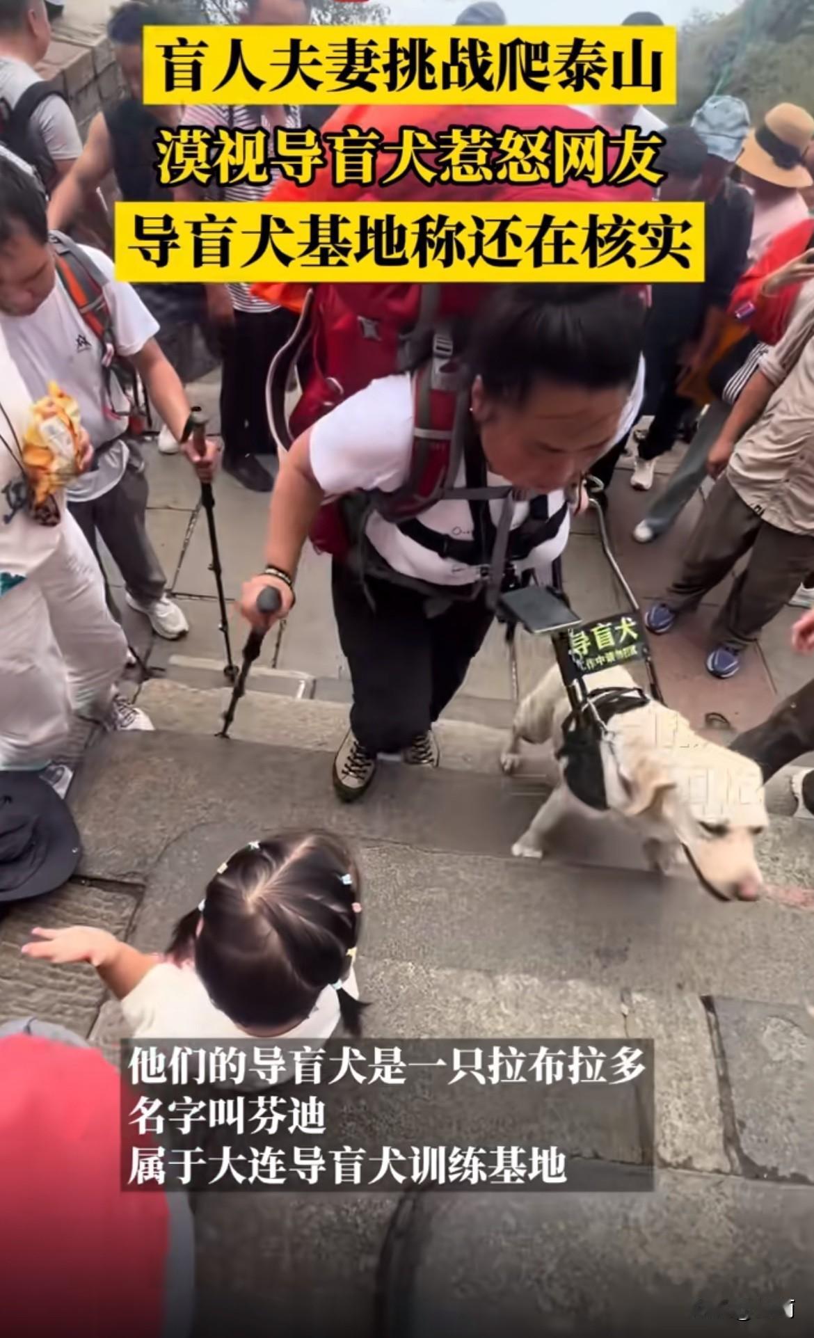 好消息是导盲犬芬迪已经被收回了。这对盲人夫妇带着导盲犬爬泰山，从白天爬到晚上，从