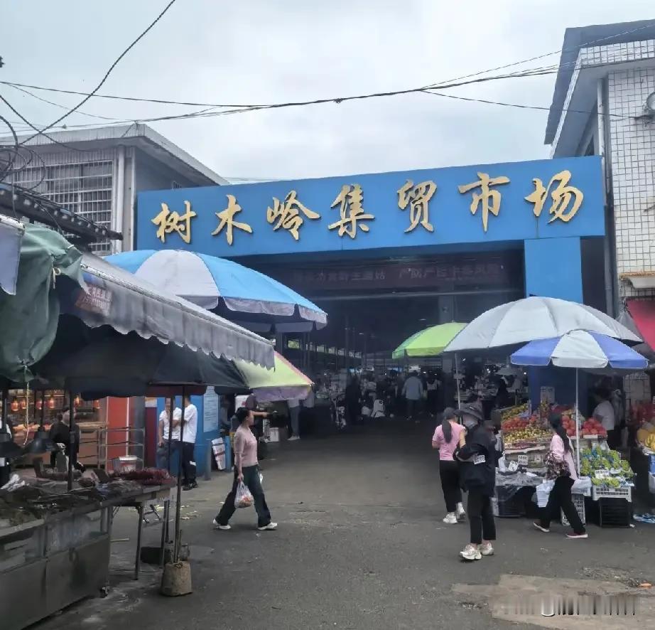 打卡长沙最热闹的城中村！位于长沙二环线旁的树木岭，这里有一个菜市场，因为有地铁