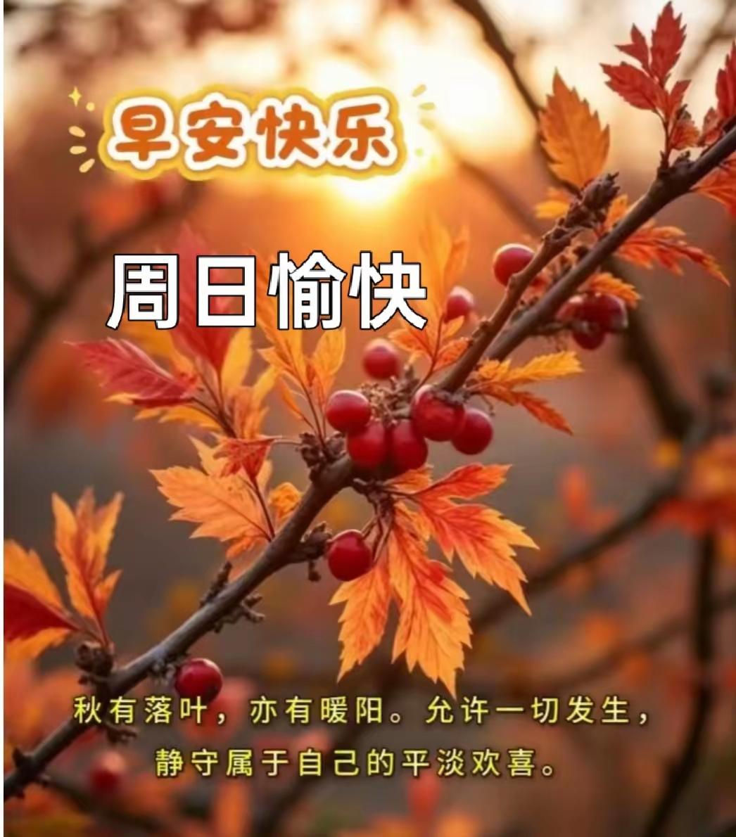 周日早安☀️很多人喜欢清晨的一句安康祝福，不是文字有多华丽，而是自带一份