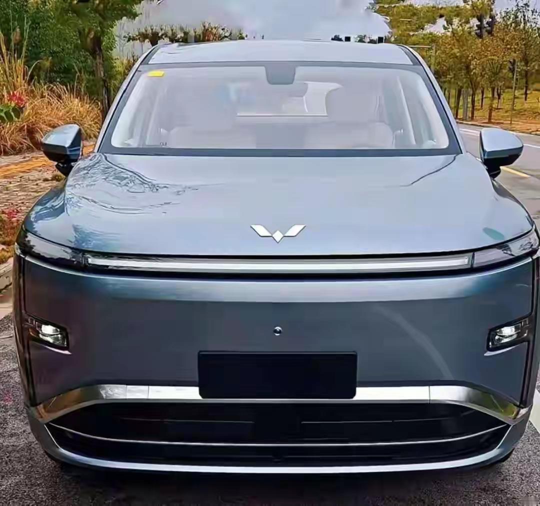 十五的月亮，十六圆。十六的月饼，一块钱。五菱星光L，正式上市！大六座，中大
