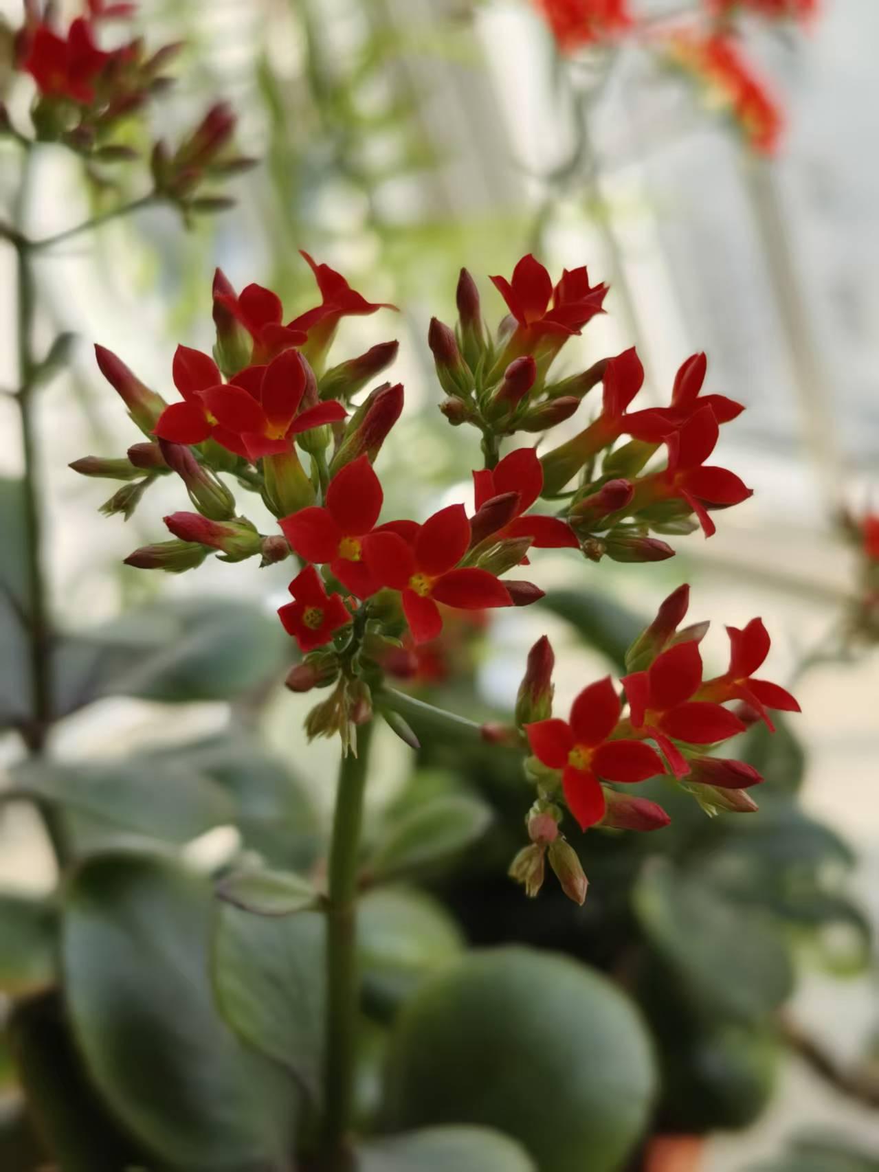 我突然对退休生活心生担忧。每到周末，我的生活作息就全部没了次序。周一到周