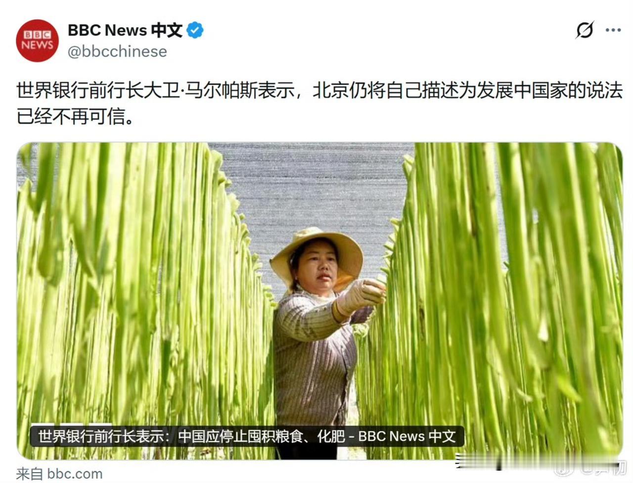 世界银行前行长大卫·马尔帕斯对中国“发展中国家”身份的质疑，以及他要求中国停止囤