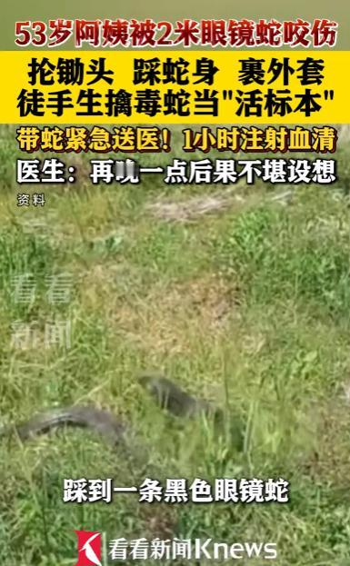 “太硬核了！”福建泉州，一53岁阿姨在自家菜地喂鸭时，不慎踩到一条2米长的黑色眼