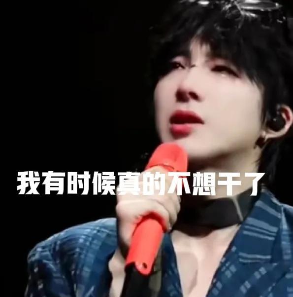 赵露思前脚开撕公司，说自己不干了，后脚刘宇宁就在演唱会上哭着对粉丝们说：“有时候