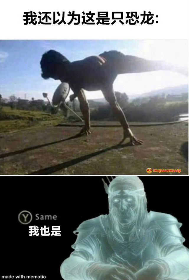 啊不是吗meme