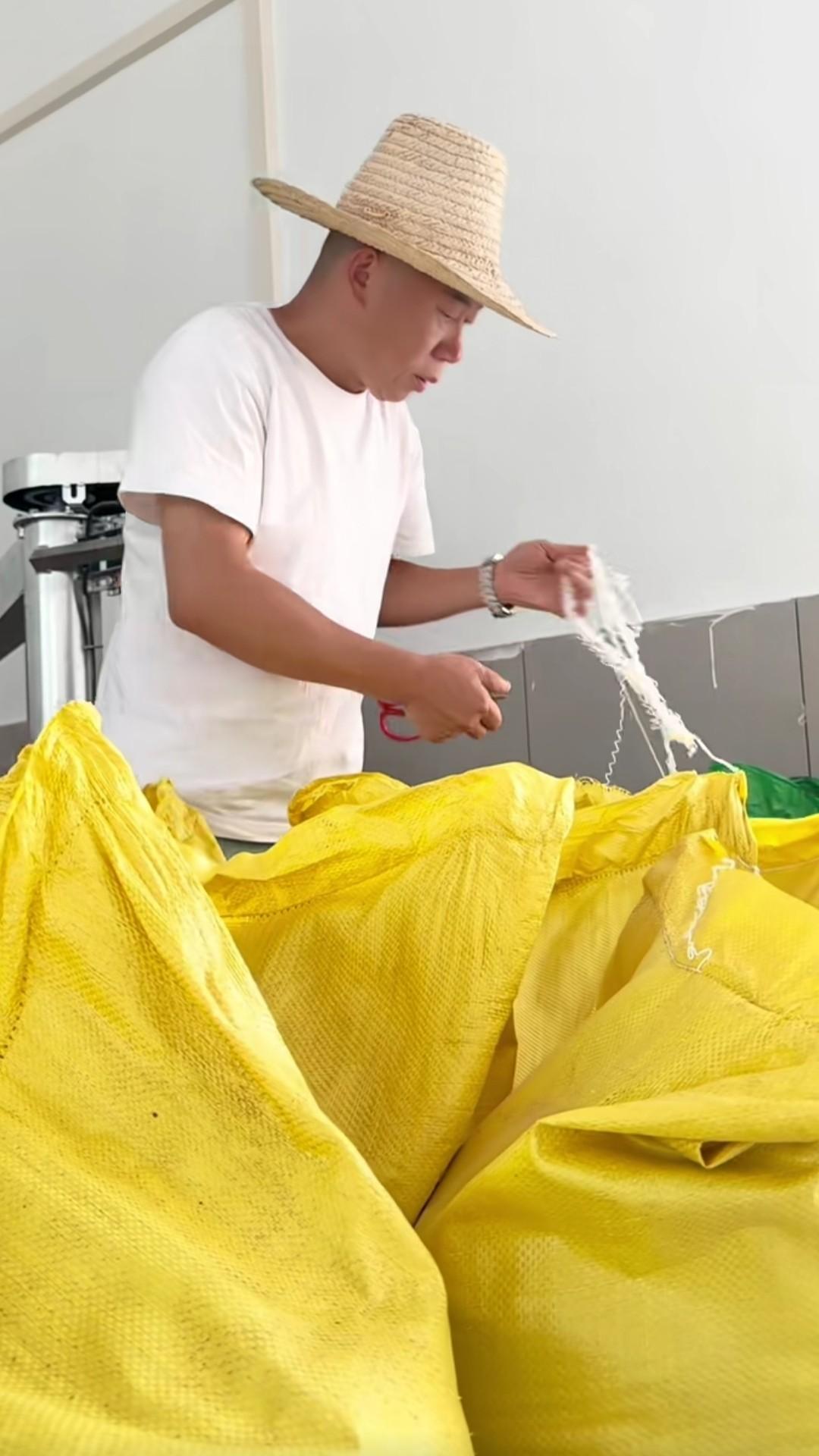 孙海洋回老家开榨油坊了。你没看错。他在广东有包子铺，有家纺门店，大女儿是读书博